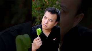 TASTY THE MOST FUN POPSICLE IN CHILDHOOD  CHINESE FOOD EATING SHOW I FUN MUKBANG [upl. by Naimaj]