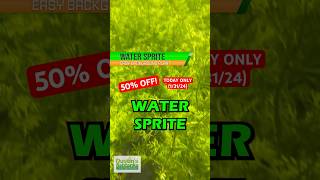 🚨50 OFF🚨Water Sprite TODAY ONLY 13124 [upl. by Retsevlys]