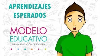 APRENDIZAJES ESPERADOS  NUEVO MODELO EDUCATIVO [upl. by Lika179]