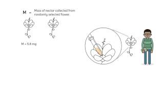 Discrete and Continuous Random Variables [upl. by Nimesay]