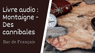 Livre audio Montaigne Les essais Des cannibales Livre 1 chapitre 31 [upl. by Betthel63]