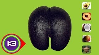 7 Largest Seeds in the World [upl. by Leonardi]