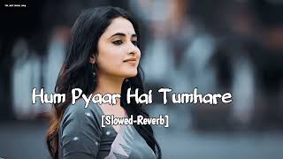 Hum Pyaar Hai Tumhare Slowed Reverb 90s Song oldisgoldsongs Lofi Song [upl. by Yale]