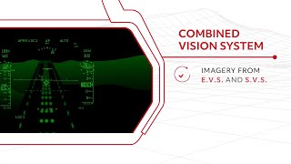 Combined Vision System CVS  Waypoints [upl. by Dihahs]