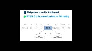 What Protocol is Used for Vlan Tagging ccna networktopology ccnanetworkengineer computernetwork [upl. by Godfry]