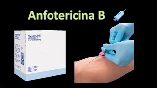 💊 Anfotericina B  Polienos  Antifungicos  Farmacología [upl. by Zebadiah]