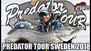 🎣 EUROPEAN PIKE FISHING COMPETITION VÄNERN 🎥  Team CWC  Predatortour Sweden 2018  Pike fishing [upl. by Kram993]