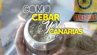 CÓMO PREPARAR BIEN yerba mate CANARIAS [upl. by Boswell22]