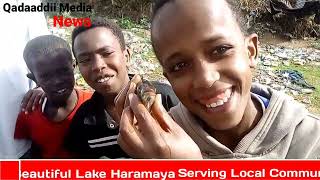 Haramaya lake the most beutifull in Ehiopia [upl. by Ormand453]