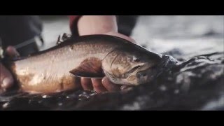 Adventure at its purest fishing in Eeyou Istchee BaieJames [upl. by Atnohs]