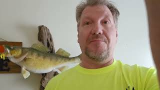 Sandusky River Walleye Run tip of the daywalleyes fishing riverfishing [upl. by Atirres258]