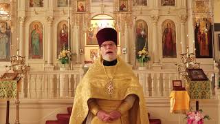 Orthodox Sermon  Your mission in life is to seek the Kingdom of God [upl. by Towers]