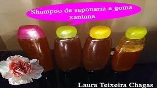 Como Fazer Shampoo de saponaria e goma xantana [upl. by Aihtibat]