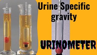 UrinometerSpecific gravity of Urine [upl. by Bledsoe340]