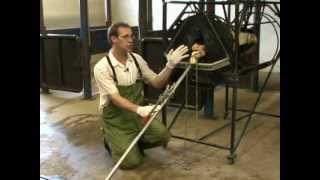 Using a Calf Jack [upl. by Ohl]