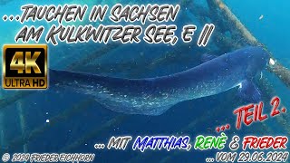 Tauchen in Sachsen 🐠 am Kulkwitzer See 🐟 E II 29062024 Teil 2 [upl. by Miuqaoj]