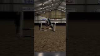 Heerlijk gesprongen met Ferrari❤️‍🔥🐎🥰 [upl. by Adehsor]