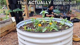 DOLLAR store PLANTERS BUDGETFRIENDLY diyplanters [upl. by Wernher92]