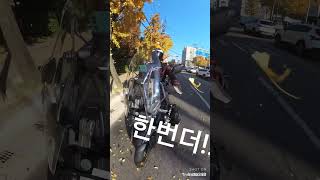 브이스트롬1050xt 바이크 bikers 인스타360x3 주말 은행나무 은행잎 은행잎비 bikelife riding 솔투 스즈끼 suzuki 멀티퍼포즈 [upl. by Hutton20]