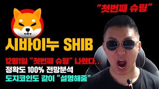 시바이누 SHIB 긴급 12월 1일 되자마자 quot첫번째 슈팅quot 나왔다 정확도 100 전망분석 도지코인도 같이 설명해드립니다 코인시황 [upl. by Tearle323]