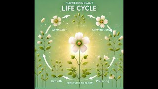 1 FLOWERING PLANTS VS NONFLOWERING PLANTS [upl. by Leihcar361]