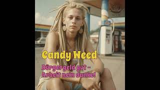 Candy Weed  Bürgergeld gut Arbeit nein danke german reggae schlager more ganja less work [upl. by Eelyrag]