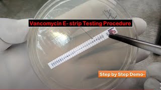 Vancomycin E strip Testing Procedure for VRSA Determination [upl. by Enilauqcaj258]