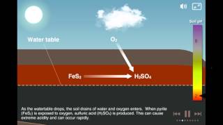 Coastal Acid Sulfate Soils [upl. by Edbert]