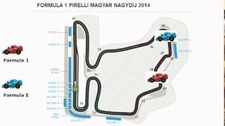 GP Hungria 2014 Formula E vs Formula 1 [upl. by Hyozo]