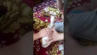 Ayan and nimra play Chicks  Murgi Hen Baby Hen Baby Cutest Sound  murgi ke chuje ki Awaaz [upl. by Yatnuhs880]