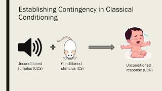 Contiguity and Contingency in Classical and Operant Conditioning [upl. by Neelrihs]