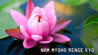 NAM MYOHO RENGE KYO powerful healing chanting [upl. by Pacheco586]