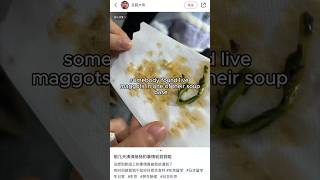 Maggots found in Chinese soup restaurant [upl. by Nagel]