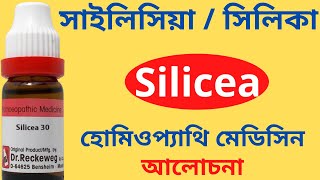 Silicea Homeopathy Medicine Uses Symptoms Benefits Silicea 30 Silicea 200 সাইলিসিয়া  স্বপ্নদোষ [upl. by Lithea916]