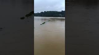 Wayanad Flood [upl. by Assilla937]