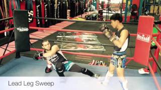 Lead Leg Sweep  Muay Thai [upl. by Marielle]