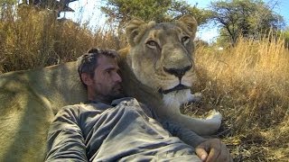 GoPro Lions  The New Endangered Species [upl. by Amasa]