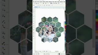 CorelDraw PowerClip  CorelDraw tutorials  Clipping Mask  Polygon tool tips [upl. by Llerod]