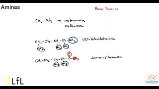 Aminas Química Orgánica [upl. by Brenden227]