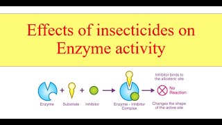 Effects of insecticides on Enzyme activity [upl. by Secrest]