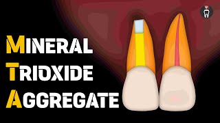 Mineral Trioxide Aggregate  MTA in Endodontics [upl. by Alli320]