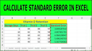 Standard Error of the Mean in Excel  How to Calculate Standard Error in Excel [upl. by Flam]