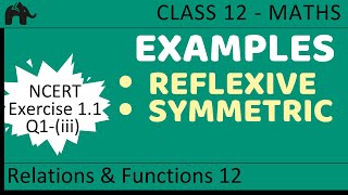 Maths Relations amp Functions part 12 Example Reflexive Symmetric CBSE class 12 Mathematics XII [upl. by Layol]