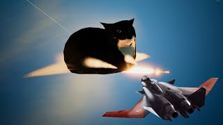 Ace Combat 7 Skies Unknown  Maxwell the Cat vs Mister X [upl. by Najib]