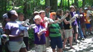 Salamander Song from Discovery Camp Session II [upl. by Daveta]