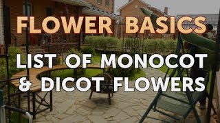 List of Monocot amp Dicot Flowers [upl. by Aniras29]