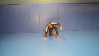 Basic BJJ Front Roll [upl. by Nueoras799]