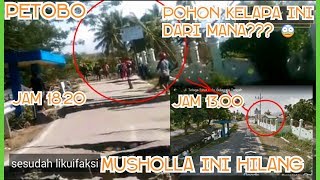 VIDEO MUSHOLA DI GANTI POHON KELAPA jalan Telaga Raya 2 tahun Petobo sebelum amp setelah gempa [upl. by Neu]