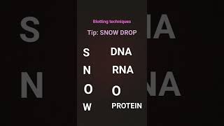 blotting techniques mnemonic [upl. by Parhe]