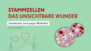 Stammzellen – das unsichtbare Wunder  Kurzfilm [upl. by Bogoch309]